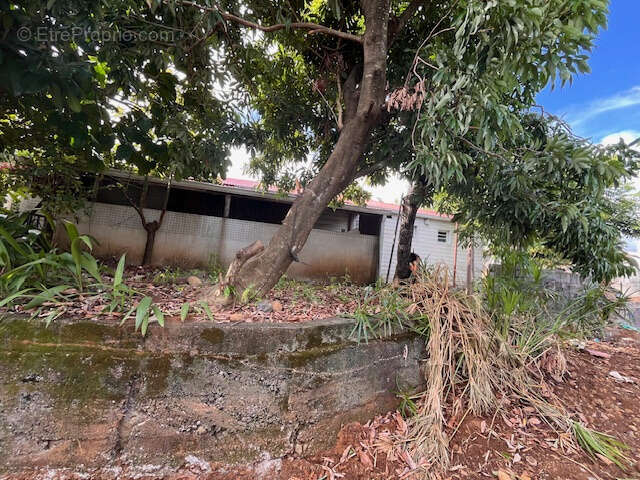 Maison à SAINT-JOSEPH