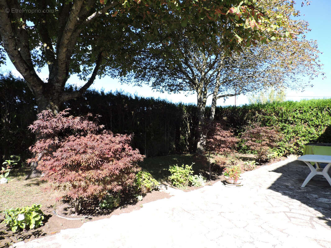 Maison à FORCALQUIER