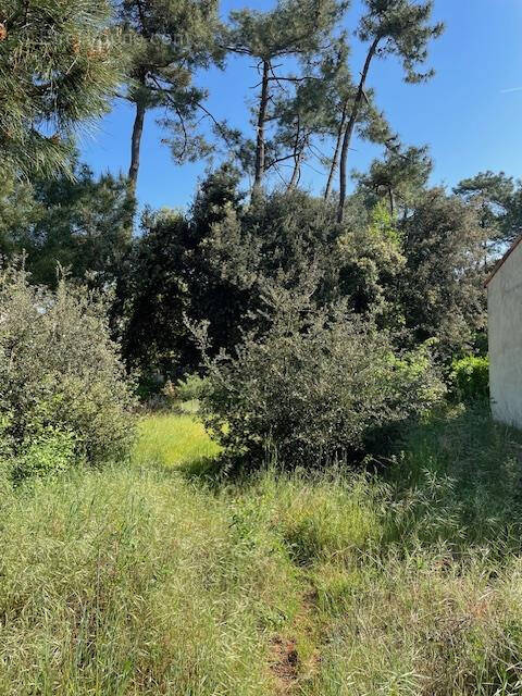 Terrain à LE GRAND-VILLAGE-PLAGE