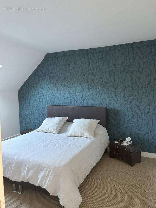 Maison à CHOUZY-SUR-CISSE