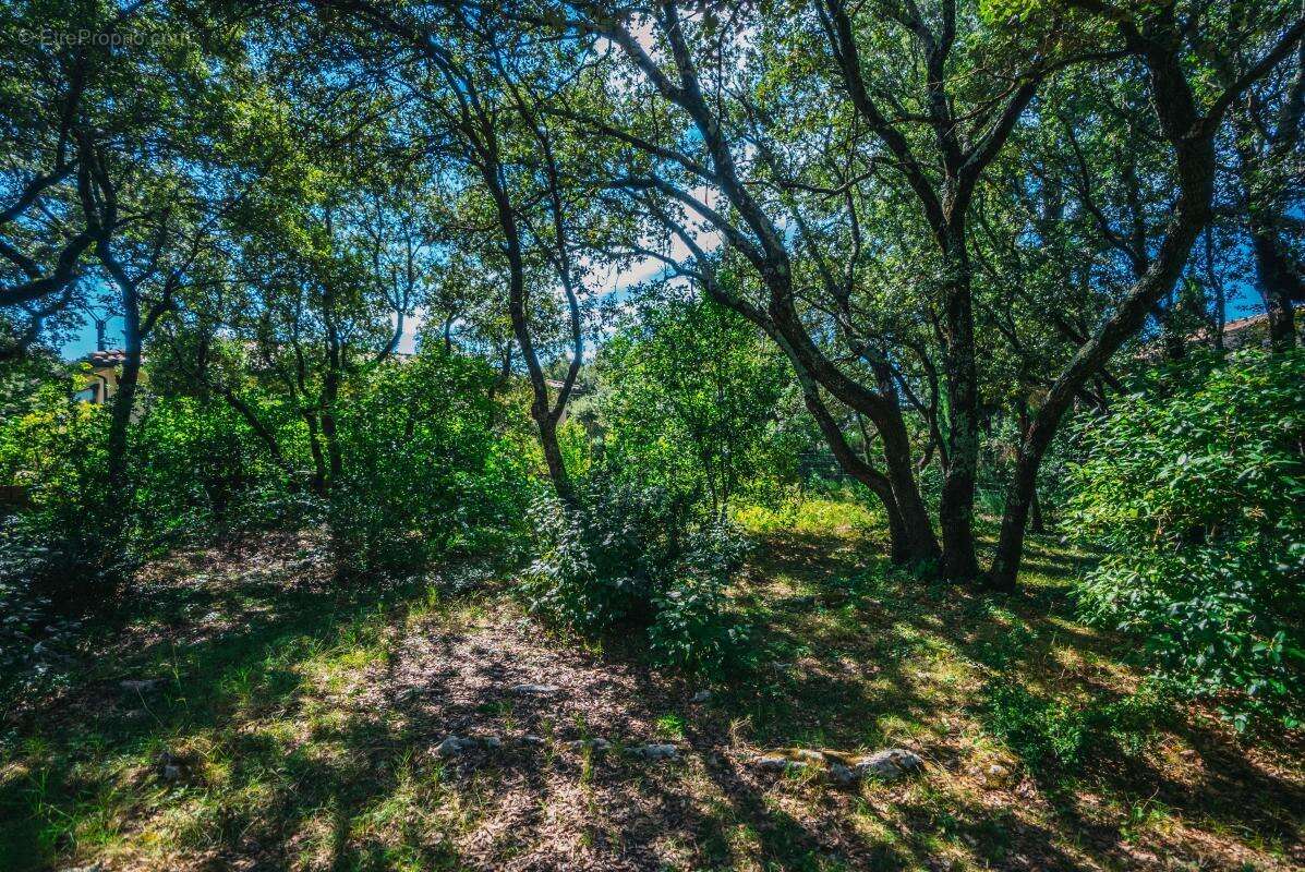 Maison à SAINT-SIFFRET