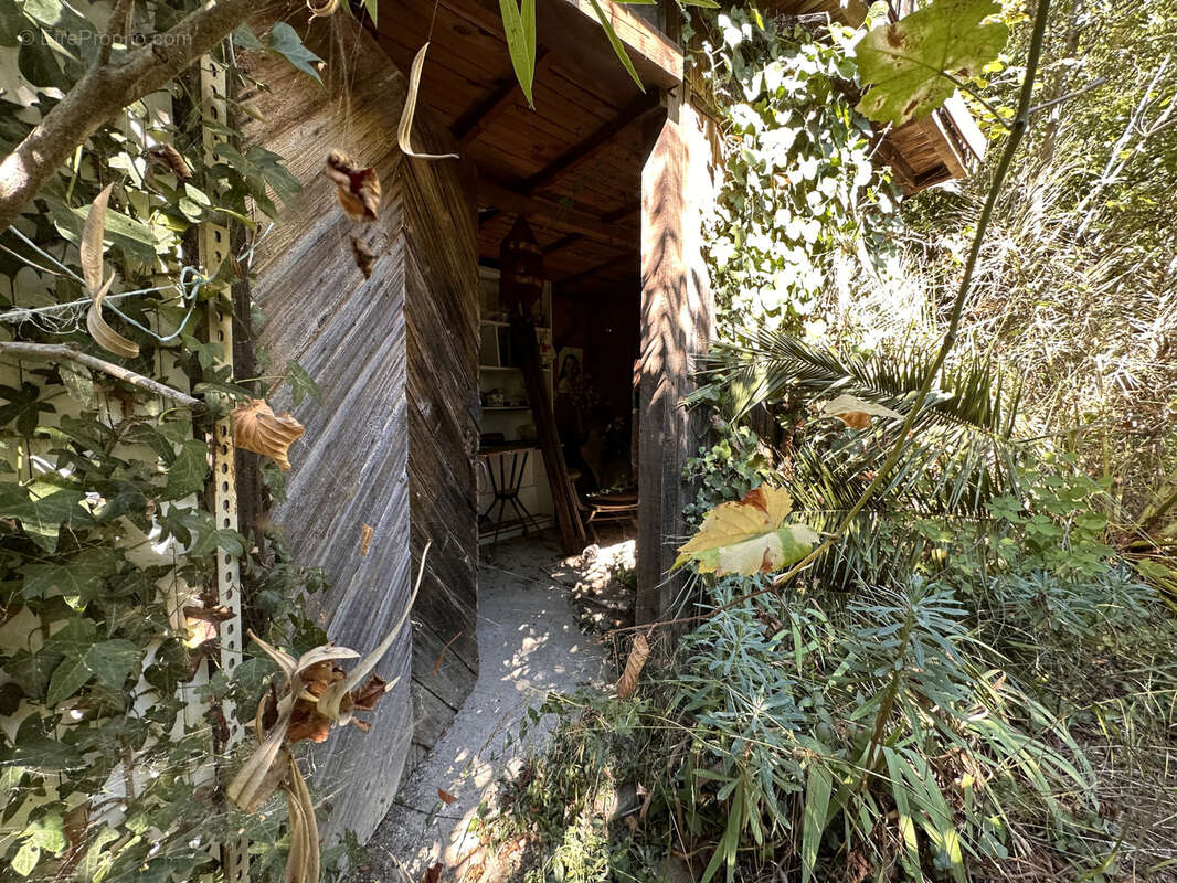 Terrain à LAROQUE-DES-ALBERES