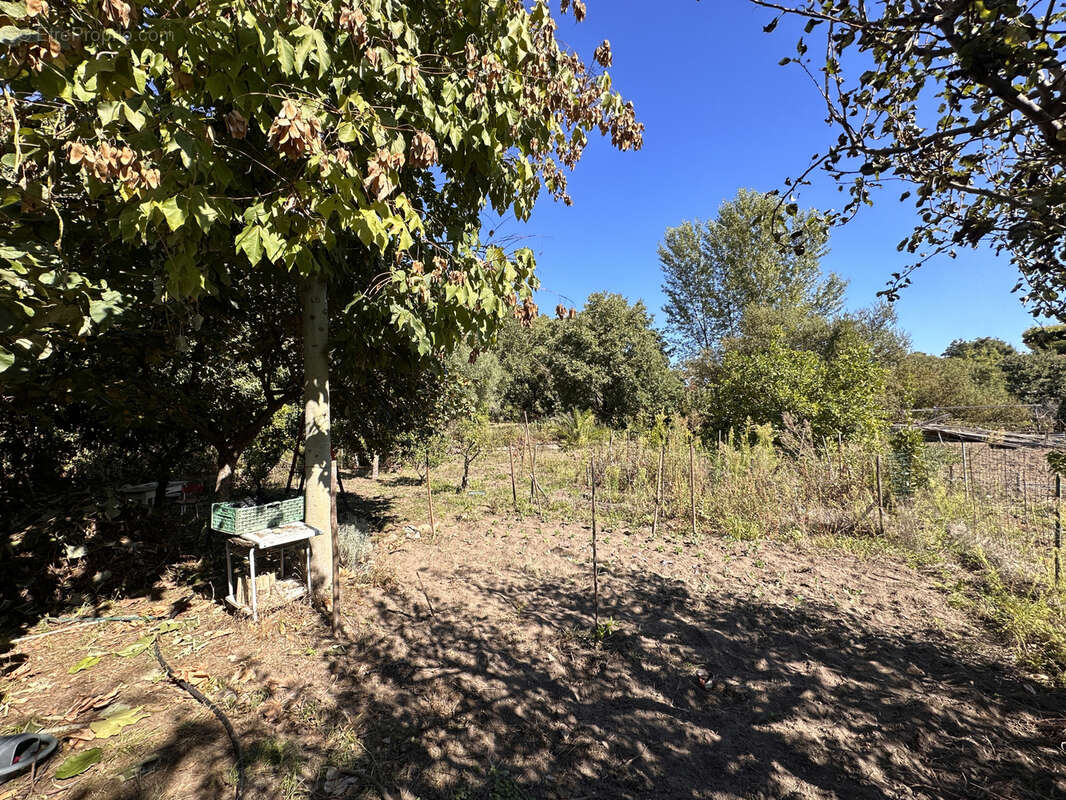 Terrain à LAROQUE-DES-ALBERES
