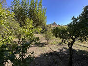 Terrain à LAROQUE-DES-ALBERES