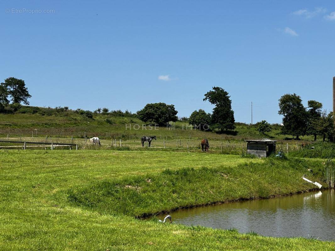 Maison à SAINT-MALO