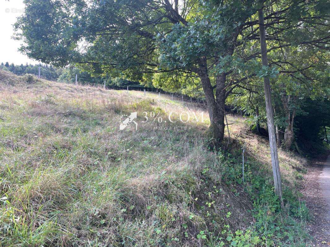 Maison à SAINTE-CROIX-AUX-MINES