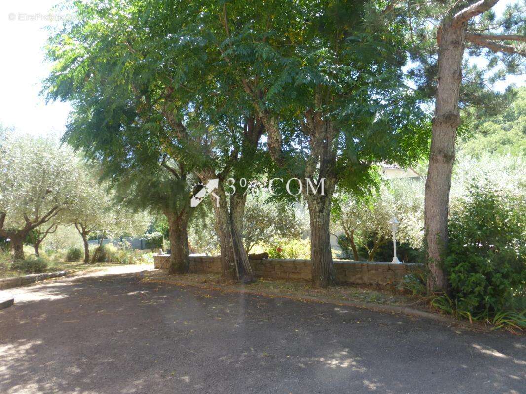 Maison à SAINT-JEAN-DU-PIN