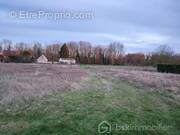 Terrain à SAINT-MAURICE-AUX-RICHES-HOMMES