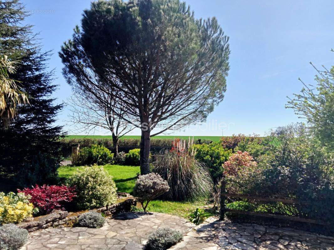 Maison à SAINTE-EANNE