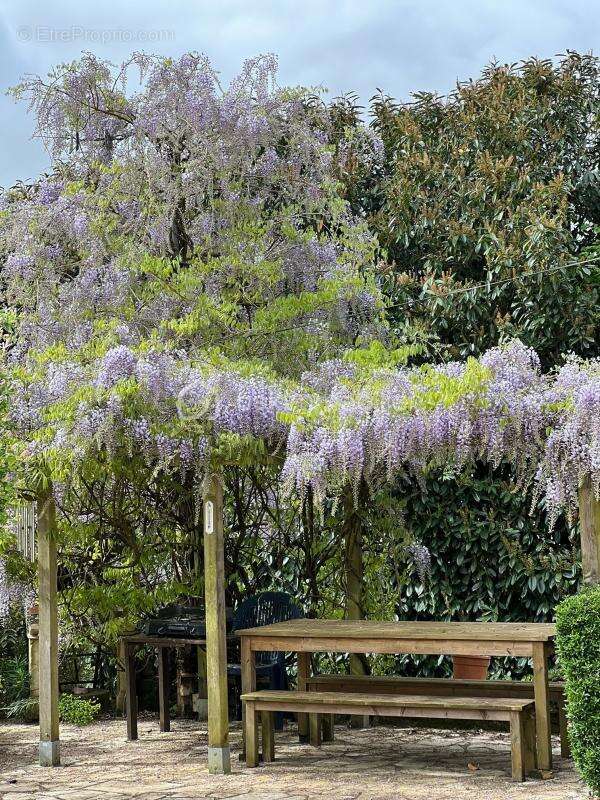 Maison à SAINTE-EANNE