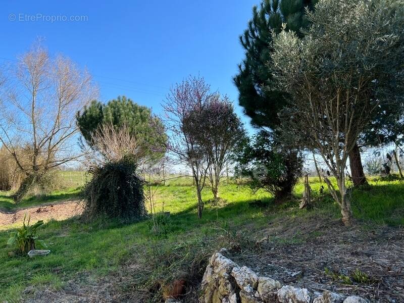 Maison à SAINT-PALAIS-DE-NEGRIGNAC