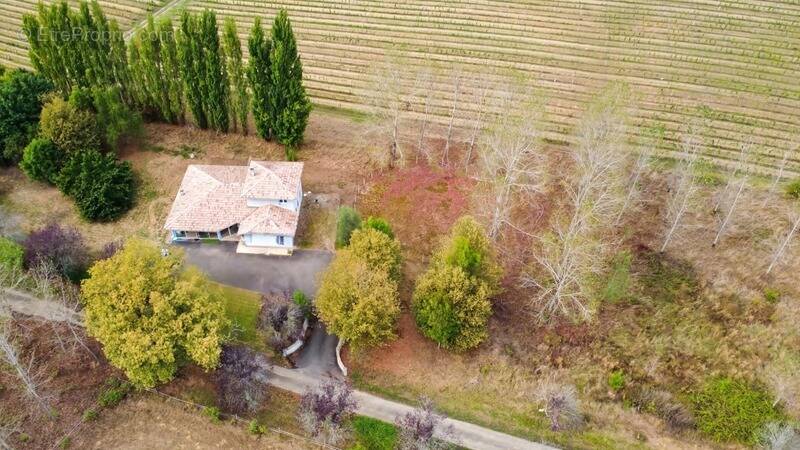 Maison à PARLEBOSCQ