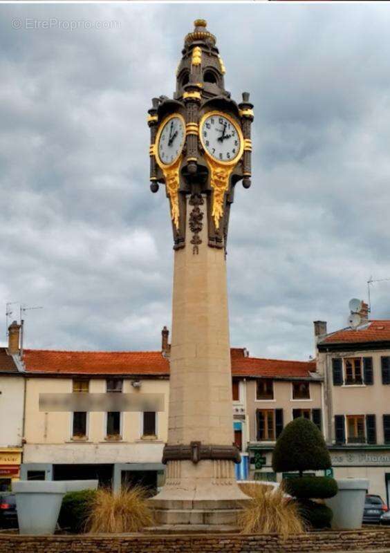 Commerce à TASSIN-LA-DEMI-LUNE
