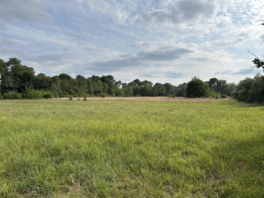 Terrain à BAZAS