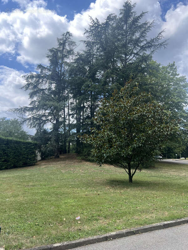 Appartement à ECULLY