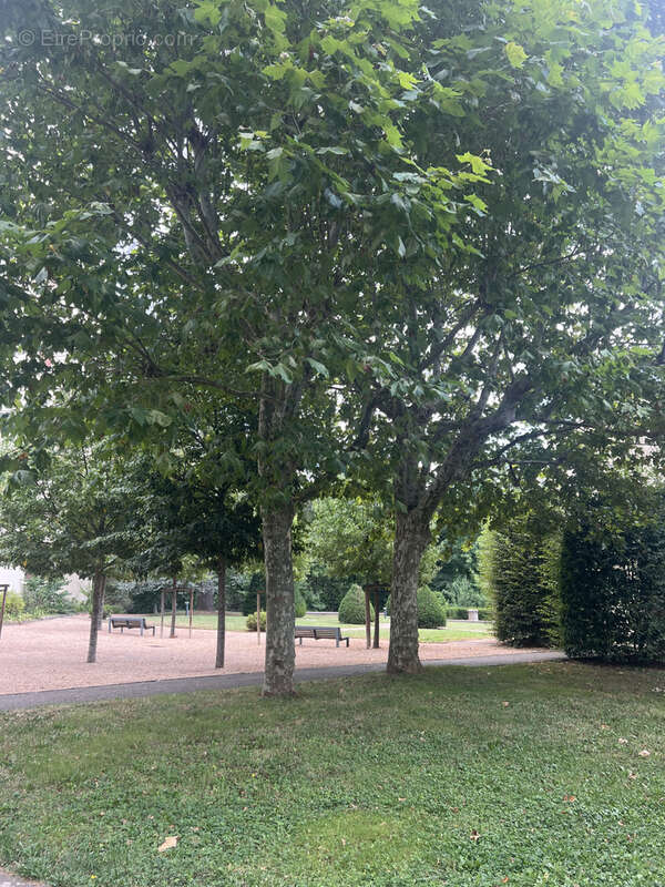 Appartement à ECULLY