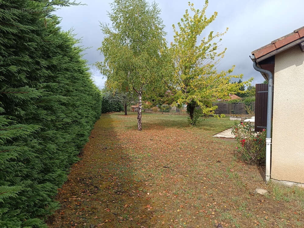 Maison à BELLERIVE-SUR-ALLIER