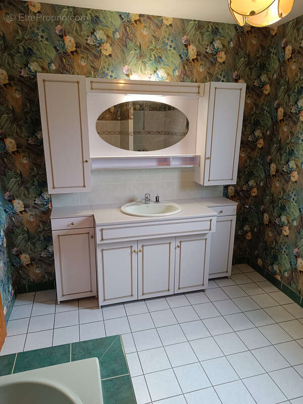 Maison à BELLERIVE-SUR-ALLIER