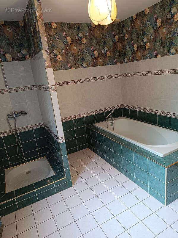 Maison à BELLERIVE-SUR-ALLIER