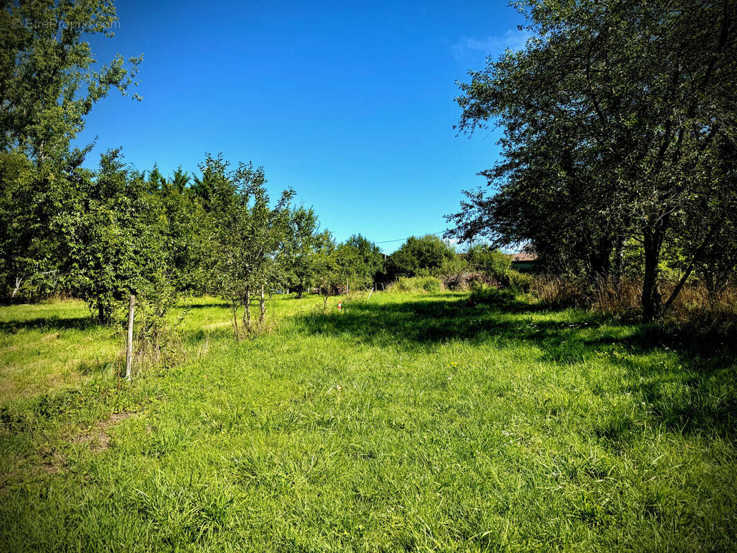 Maison à VALLENTIGNY