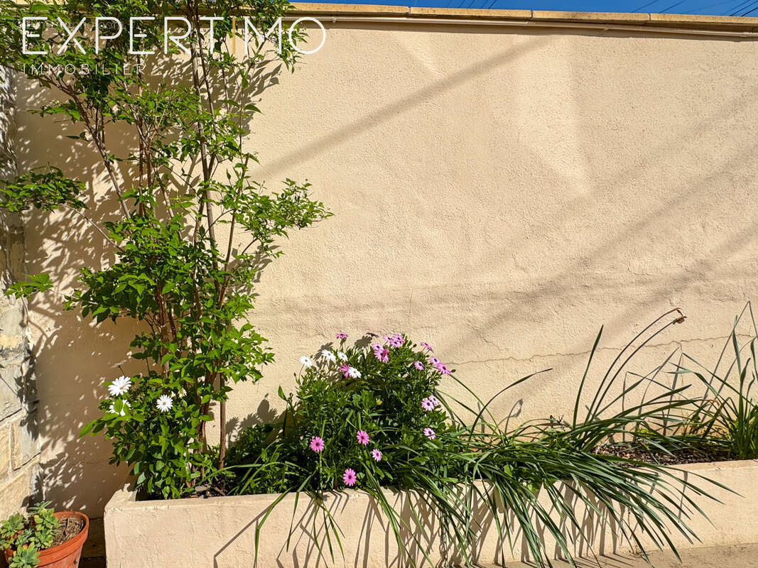 Maison à MONTPELLIER