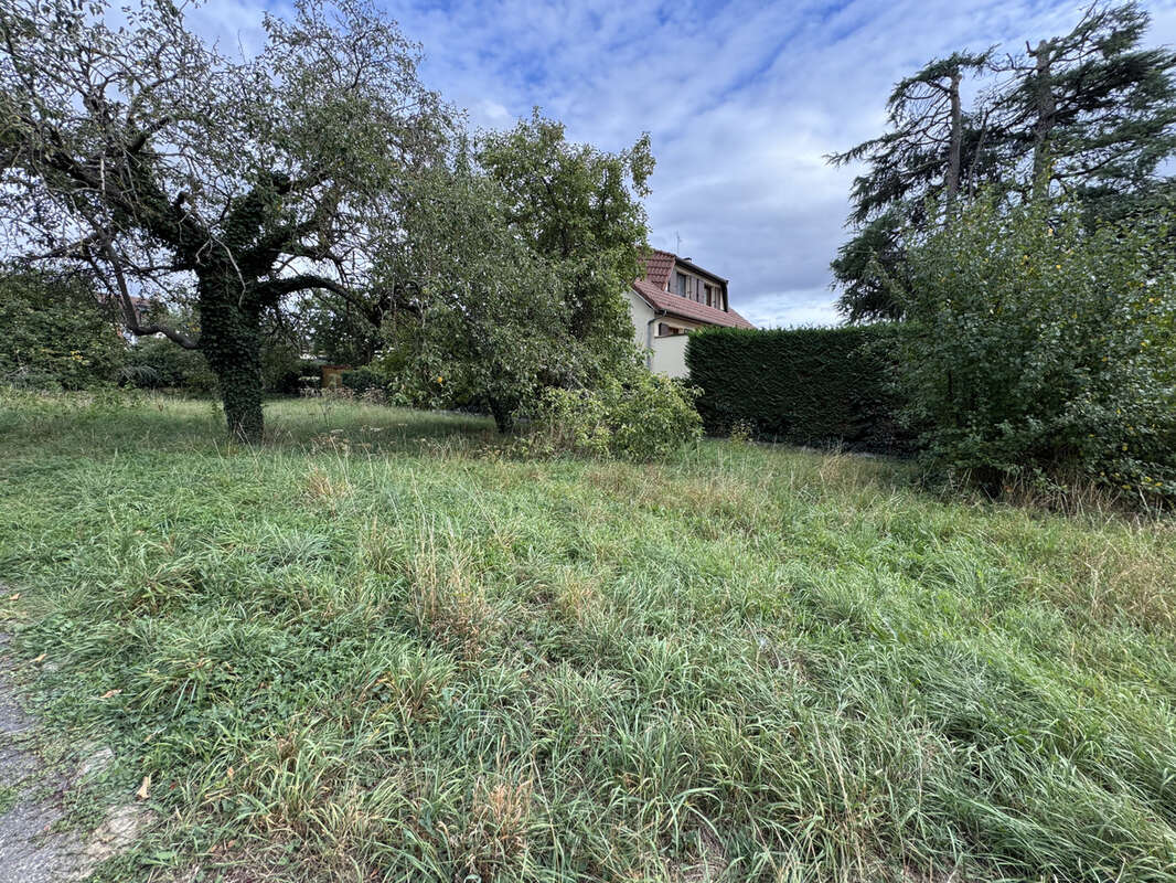 Terrain à SAINTRY-SUR-SEINE