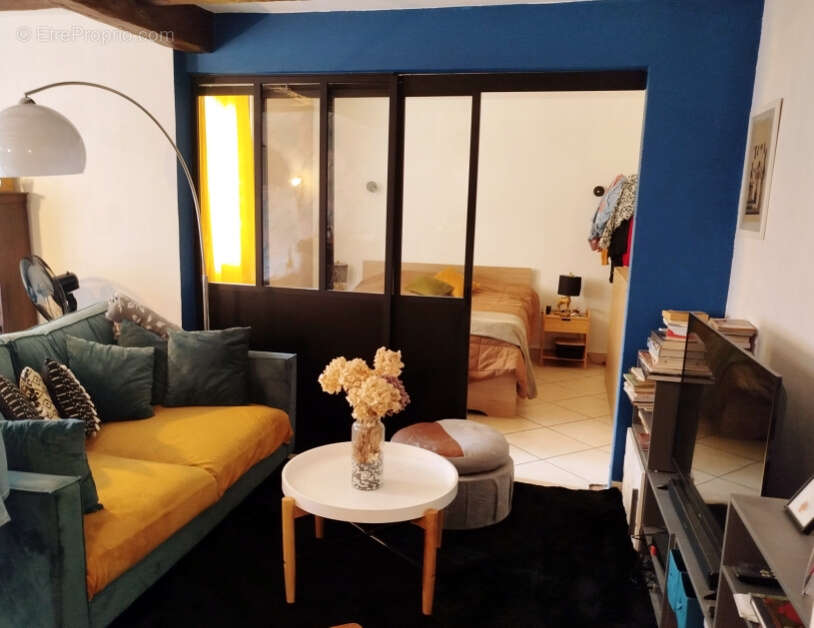 Appartement à SEYTHENEX