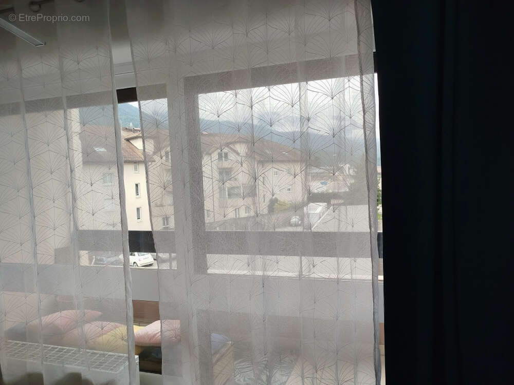 Appartement à SEYTHENEX