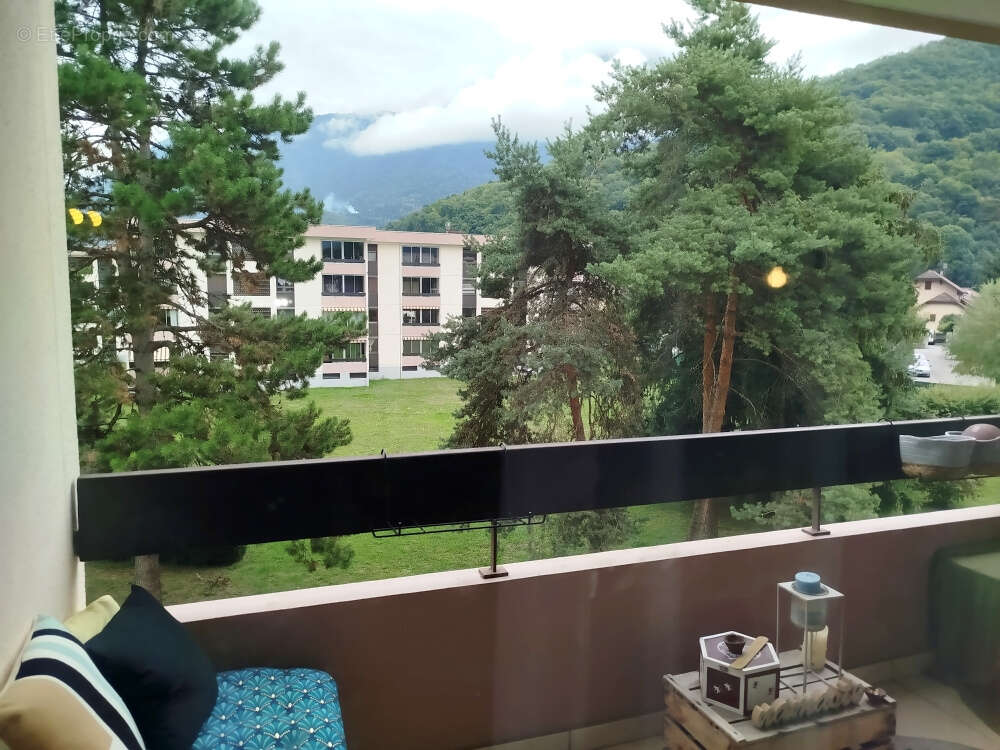 Appartement à SEYTHENEX