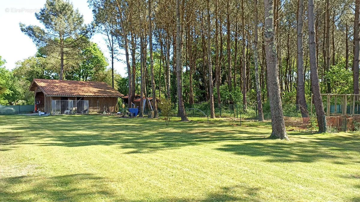 Maison à PARENTIS-EN-BORN