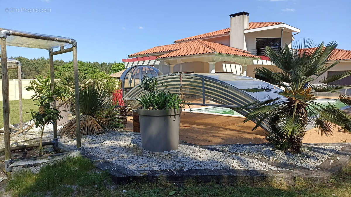 Maison à PARENTIS-EN-BORN