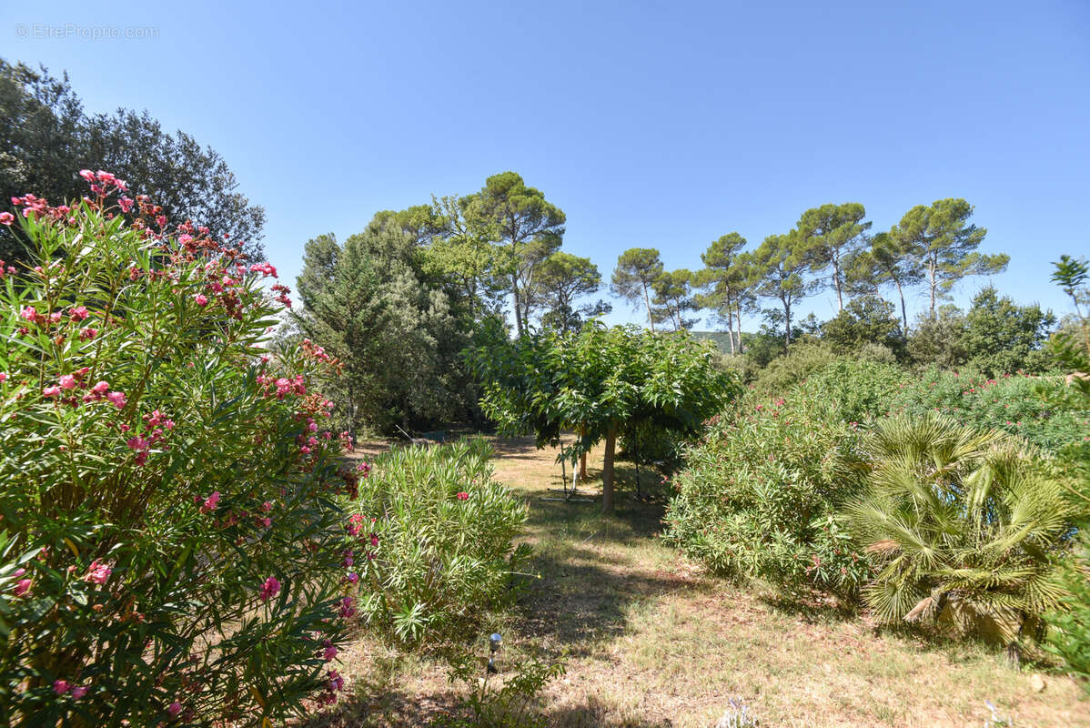 Maison à LE THORONET