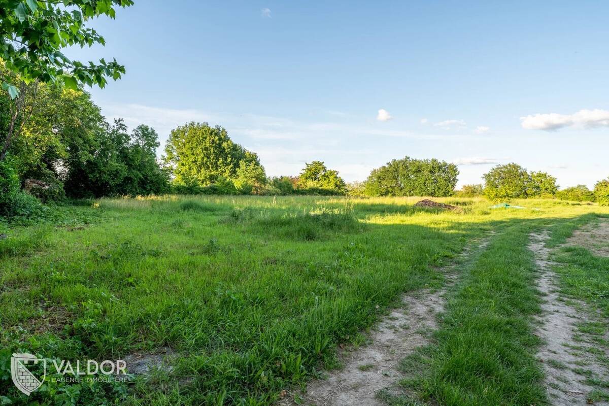 Terrain à LES CHERES