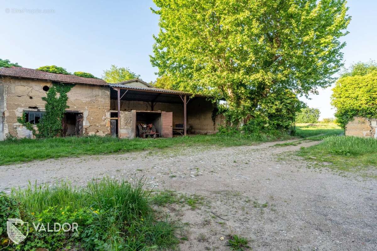 Terrain à LES CHERES