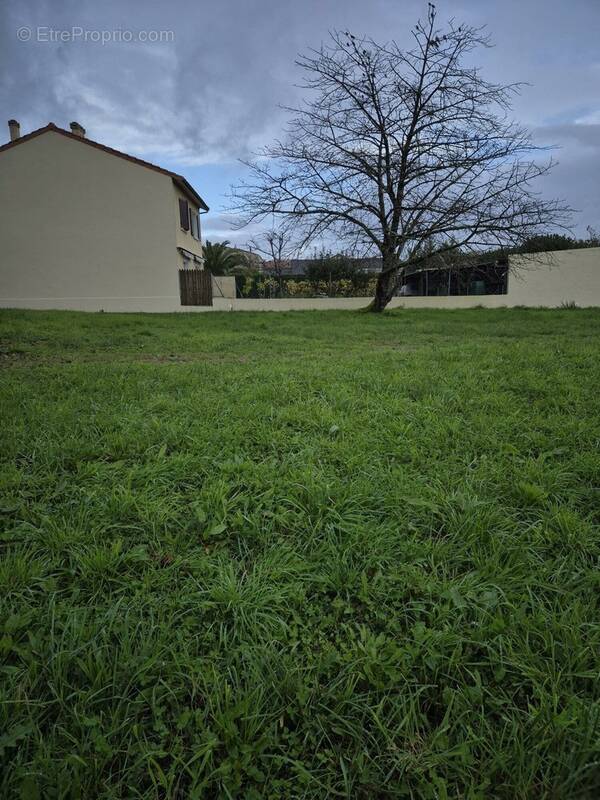 Terrain à ESSOMES-SUR-MARNE