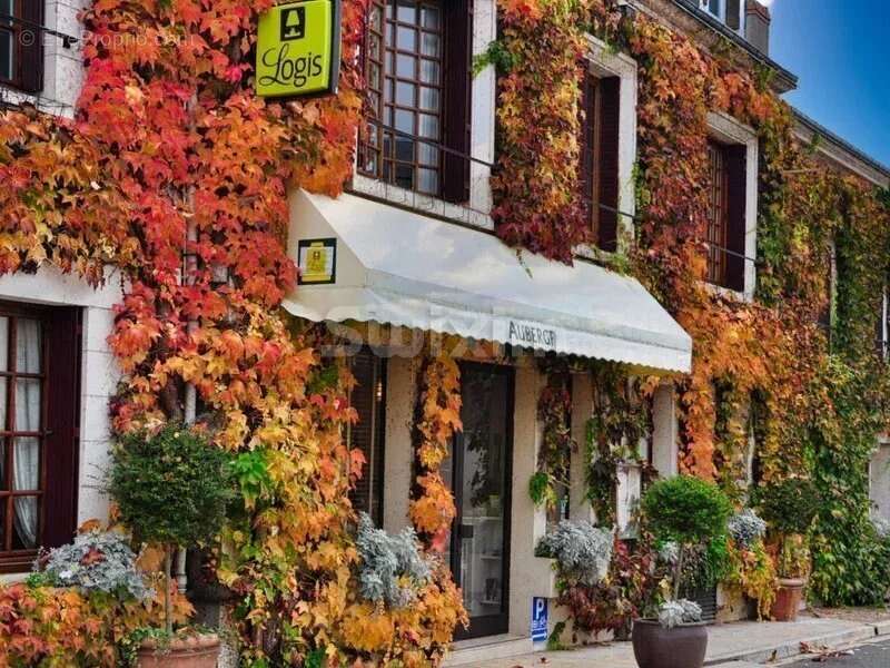 Commerce à CHEVERNY