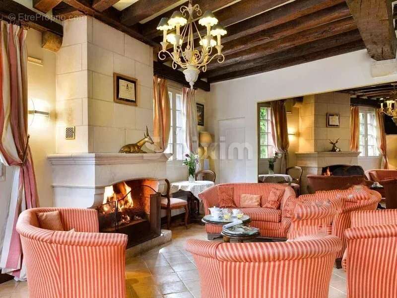 Commerce à CHEVERNY