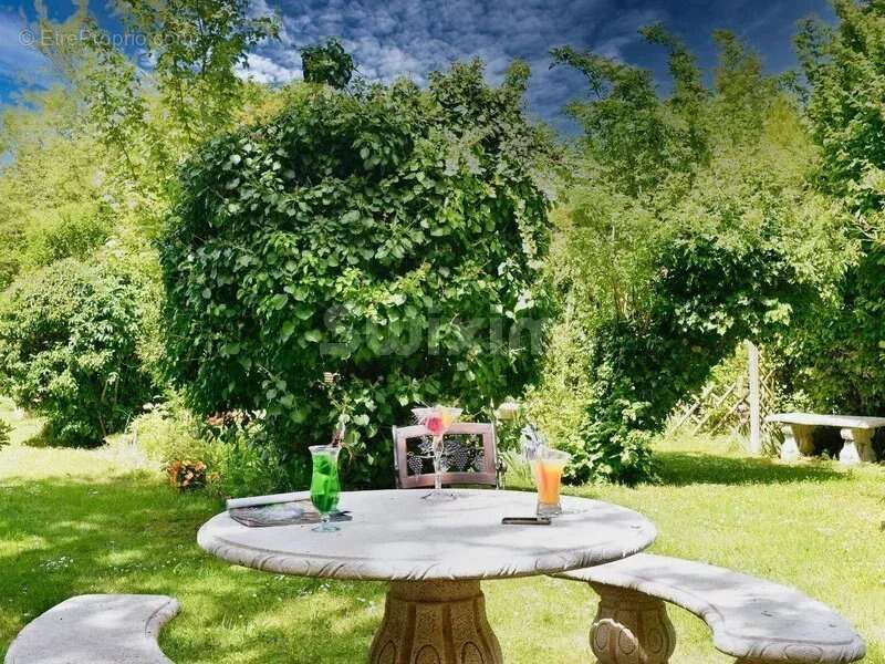 Commerce à CHEVERNY