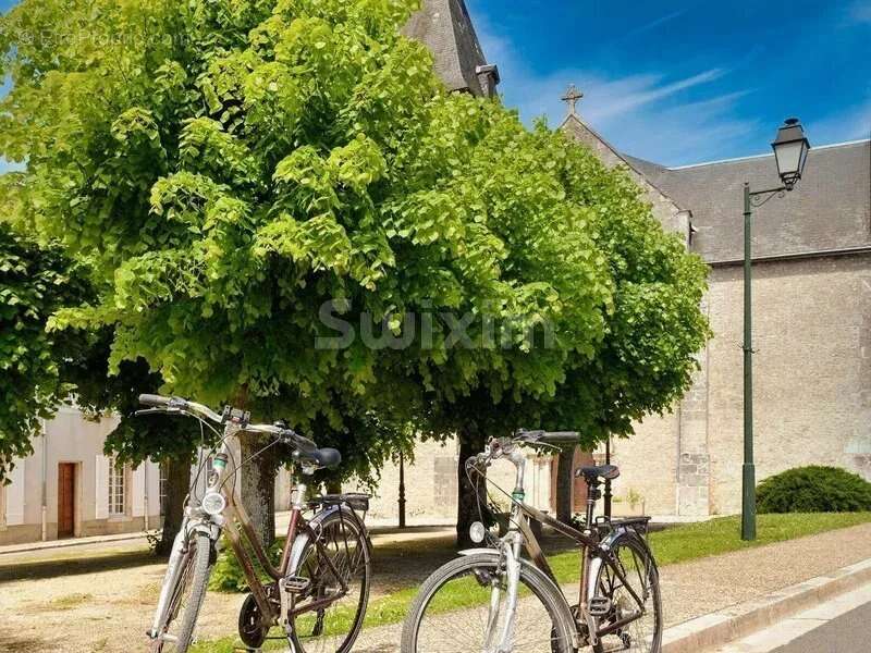 Commerce à CHEVERNY