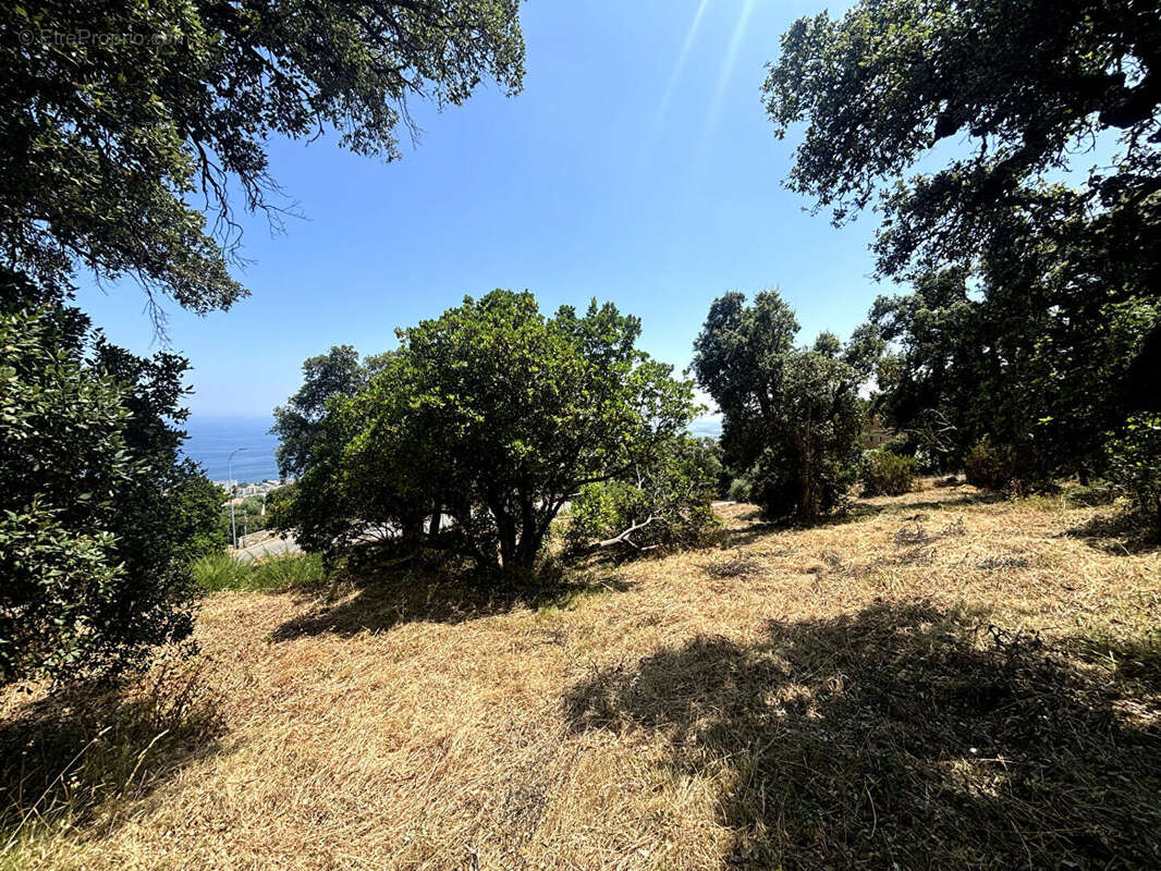 Terrain à BASTIA