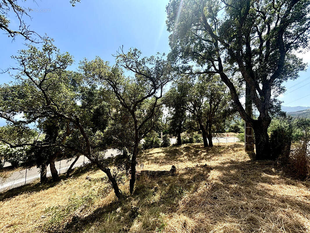 Terrain à BASTIA