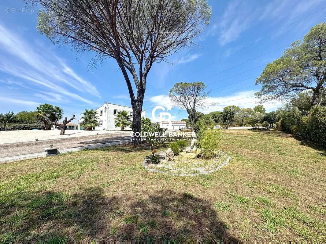 Maison à ROQUEBRUNE-SUR-ARGENS