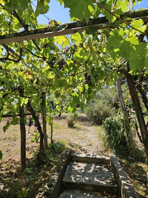 Maison à LADEVEZE-RIVIERE