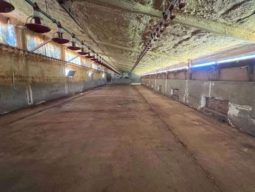 Maison à SAINTE-CROIX-DE-CADERLE