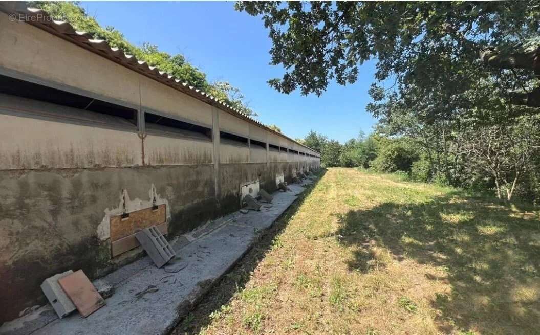 Maison à SAINTE-CROIX-DE-CADERLE