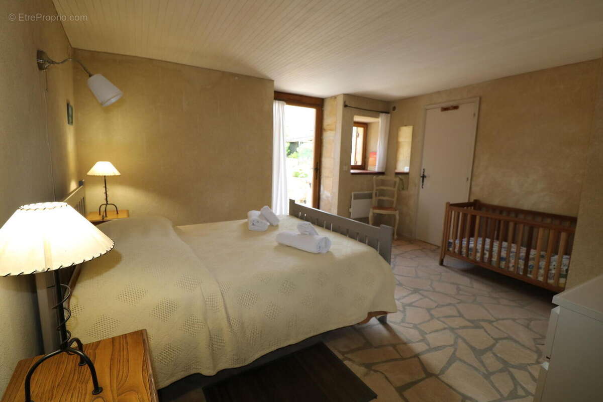 IMG0454 - Maison à SAINT-CYPRIEN