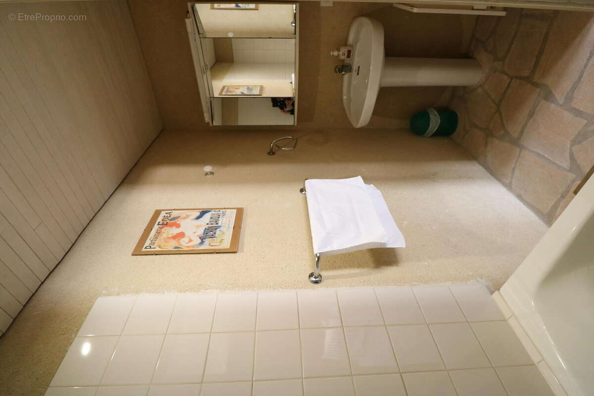 IMG0461 - Maison à SAINT-CYPRIEN