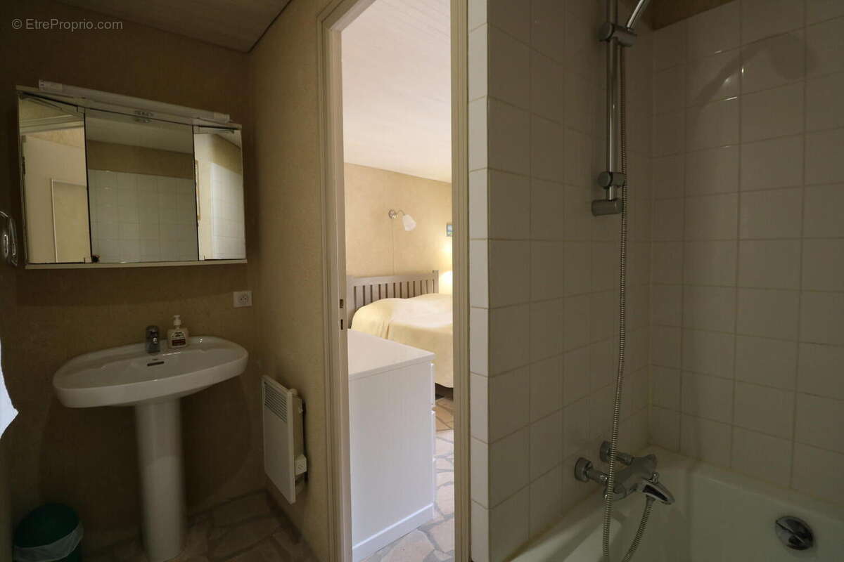 IMG0464 - Maison à SAINT-CYPRIEN