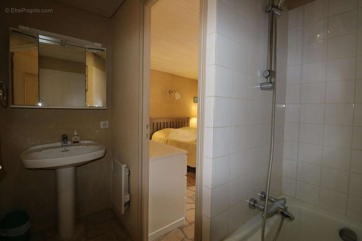 IMG0465 - Maison à SAINT-CYPRIEN