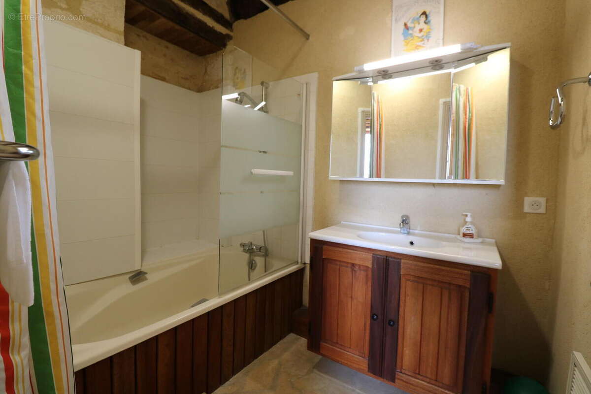 IMG0485 - Maison à SAINT-CYPRIEN